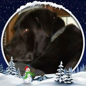 Meet your Posher, Joanne